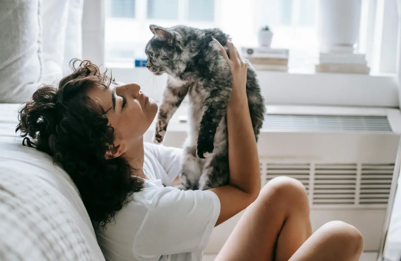 Ce înseamnă când pisica îți face masaj